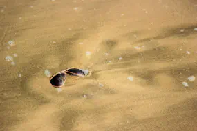 glass_beach.jpg